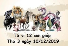 Xem tử vi thứ 3 ngày 10/12/2019 của 12 con giáp