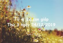 Xem tử vi thứ 3 ngày 24/12/2019 của 12 con giáp