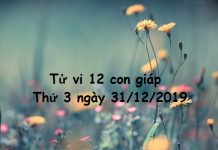 Xem tử vi thứ 3 ngày 31/12/2019 của 12 con giáp