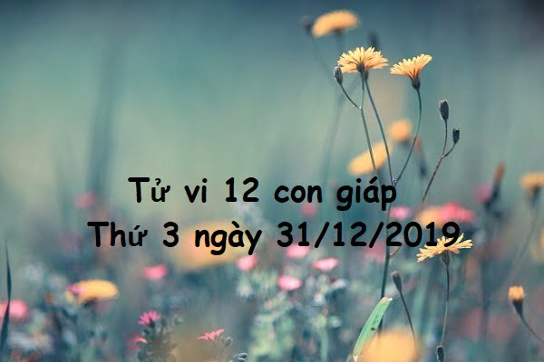 Xem tử vi thứ 3 ngày 31/12/2019 của 12 con giáp-1