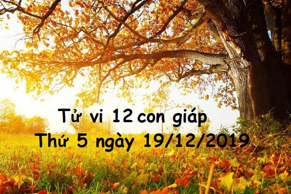 Xem tử vi thứ 5 ngày 19/12/2019 của 12 con giáp-1