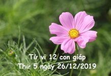 Xem tử vi thứ 5 ngày 26/12/2019 của 12 con giáp