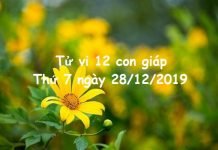 Xem tử vi thứ 7 ngày 28/12/2019 của 12 con giáp
