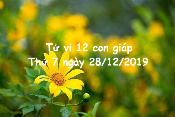 Xem tử vi thứ 7 ngày 28/12/2019 của 12 con giáp-1