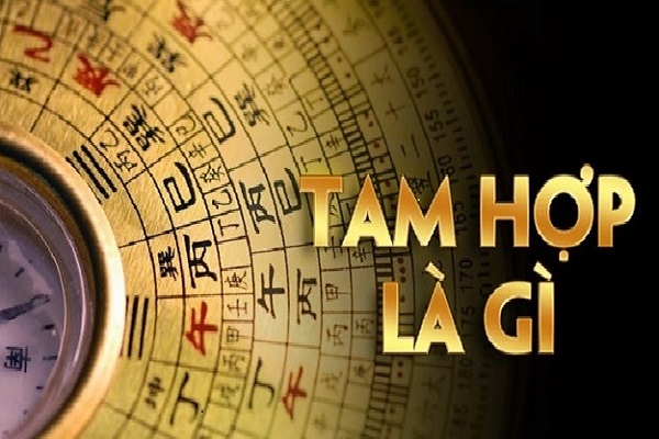 Tam hợp là gì? Cách tính tuổi Tam Hợp 12 con giáp-1 Tam hợp là gì? Cách tính tuổi Tam Hợp 12 con giáp-1