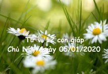 Xem tử vi Chủ Nhật ngày 05/01/2020 của 12 con giáp