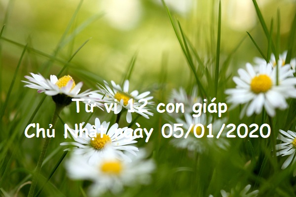 Xem tử vi Chủ Nhật ngày 05/01/2020 của 12 con giáp-1