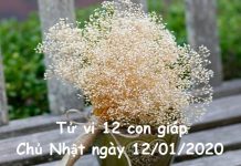 Xem tử vi Chủ Nhật ngày 12/01/2020 của 12 con giáp