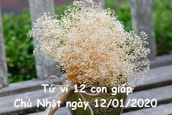 Xem tử vi Chủ Nhật ngày 12/01/2020 của 12 con giáp-1