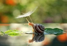 Xem tử vi Chủ Nhật ngày 19/01/2020 của 12 con giáp