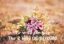 Xem tử vi Thứ 2 ngày 06/01/2020 của 12 con giáp