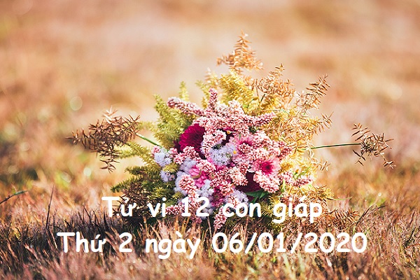 Xem tử vi Thứ 2 ngày 06/01/2020 của 12 con giáp-1 Xem tử vi Thứ 2 ngày 06/01/2020 của 12 con giáp-1