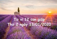 Xem tử vi Thứ 2 ngày 13/01/2020 của 12 con giáp