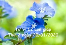 Xem tử vi Thứ 2 ngày 20/01/2020 của 12 con giáp