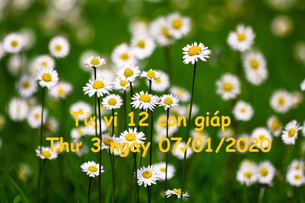 Xem tử vi Thứ 3 ngày 07/01/2020 của 12 con giáp-1