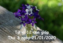 Xem tử vi Thứ 3 ngày 21/01/2020 của 12 con giáp