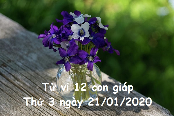 Xem tử vi Thứ 3 ngày 21/01/2020 của 12 con giáp-1