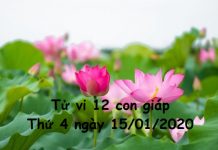 Xem tử vi Thứ 4 ngày 15/01/2020 của 12 con giáp