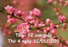 Xem tử vi Thứ 4 ngày 22/01/2020 của 12 con giáp