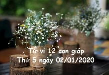 Xem tử vi thứ 5 ngày 02/01/2020 của 12 con giáp