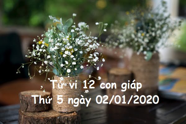 Xem tử vi thứ 5 ngày 02/01/2020 của 12 con giáp-1