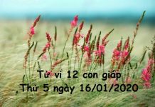 Xem tử vi Thứ 5 ngày 16/01/2020 của 12 con giáp