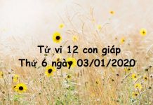 Xem tử vi thứ 6 ngày 03/01/2020 của 12 con giáp