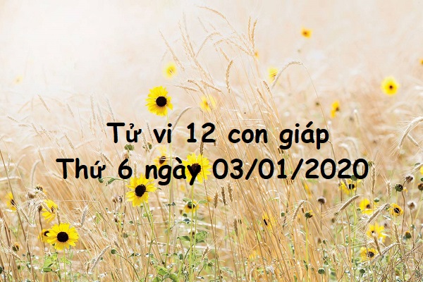 Xem tử vi thứ 6 ngày 03/01/2020 của 12 con giáp-1