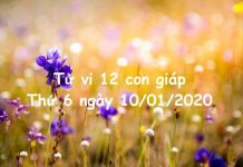 Xem tử vi Thứ 6 ngày 10/01/2020 của 12 con giáp
