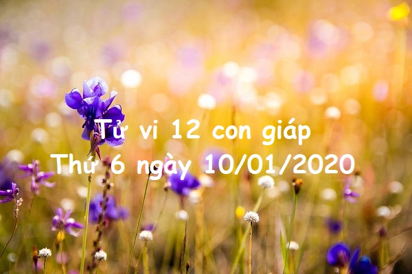Xem tử vi Thứ 6 ngày 10/01/2020 của 12 con giáp-1 Xem tử vi Thứ 6 ngày 10/01/2020 của 12 con giáp-1