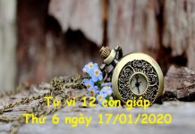 Xem tử vi Thứ 6 ngày 17/01/2020 của 12 con giáp