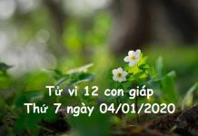 Xem tử vi thứ 7 ngày 04/01/2020 của 12 con giáp