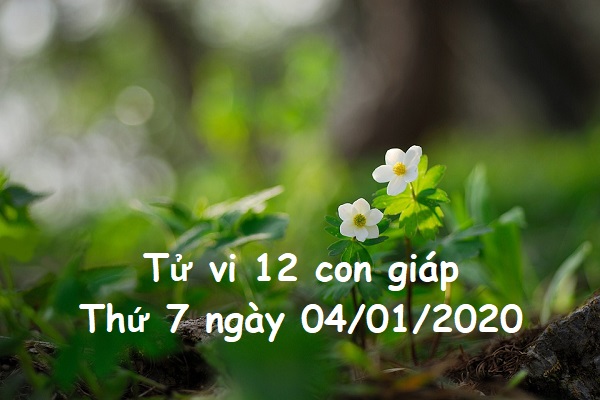 Xem tử vi thứ 7 ngày 04/01/2020 của 12 con giáp-1