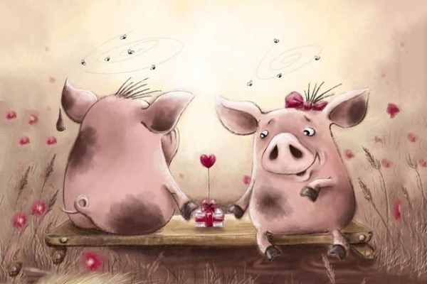 Giờ Hợi là mấy giờ? Số mệnh người sinh giờ Hợi-3 Giờ Hợi là mấy giờ? Số mệnh người sinh giờ Hợi-3