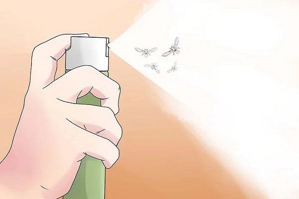 Kiến cánh bay vào nhà là điềm gì? Đánh số mấy?-3