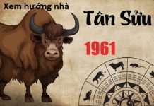Xem hướng nhà hợp tuổi Tân Sửu 1961 nam mạng, nữ mạng