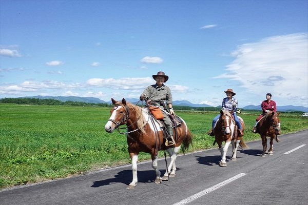 Con Ngựa số mấy? Mơ thấy Ngựa đánh con gì?-3 Con Ngựa số mấy? Mơ thấy Ngựa đánh con gì?-3