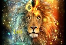 Cung Sư Tử (23/7 – 22/8): Tính Cách, Sự Nghiệp, Tình Yêu