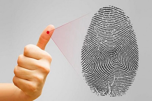 Người 2 hoa tay có gì đặc biệt về số mệnh tương lai-1