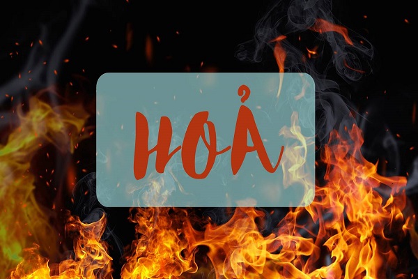 Mệnh Hỏa hợp cây gì? Cây nào đem lại may mắn, tài lộc-1 Mệnh Hỏa hợp cây gì? Cây nào đem lại may mắn, tài lộc-1