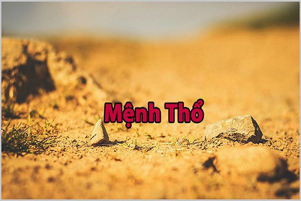 Mệnh Thổ hợp cây gì? Cây may mắn cho mệnh Thổ-1