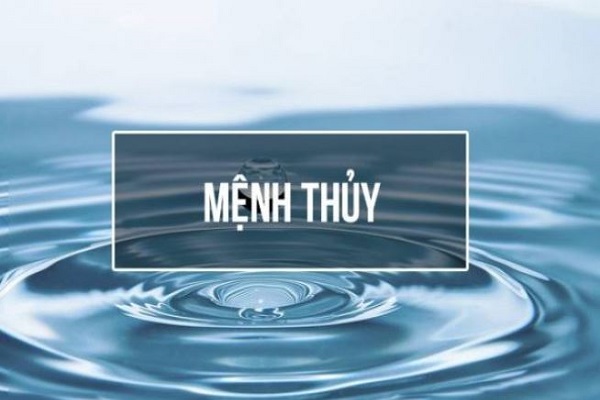 Mệnh Thủy hợp cây gì mang nhiều tài lộc, may mắn-1