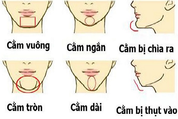 Xem tướng cằm phụ nữ đàn ông đoán vận mệnh-3 Xem tướng cằm phụ nữ đàn ông đoán vận mệnh-3