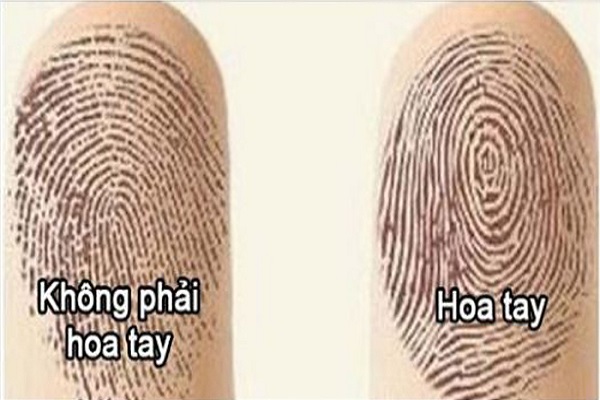 Người 5 hoa tay nói lên điều gì về vận mệnh tương lai-1