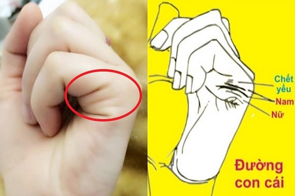 Xem chỉ tay đường con cái đoán sinh trai hay gái-1