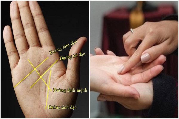 Đường sinh đạo đôi (song song) thì sao?-3