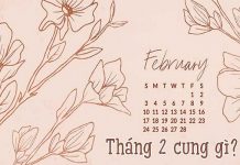 Người sinh tháng 2 cung gì? Vận mệnh tương lai ra sao?