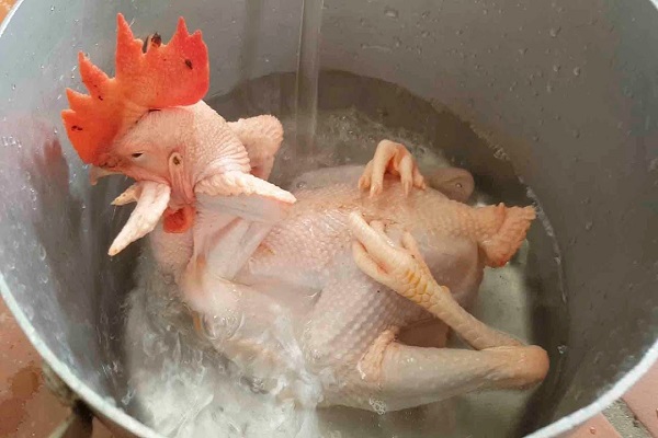 Cách tréo gà cúng đẹp mắt bày mâm cỗ ngày lễ, Tết-5