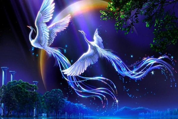 10+ hình xăm phượng hoàng lửa truất nhất-12