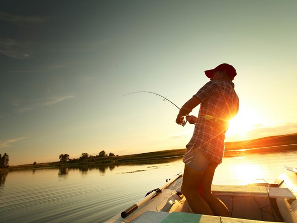 Mơ thấy bắt cá là điềm báo gì? Đánh con gì dễ trúng? 1